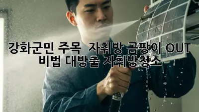 강화군민 주목! 🏡 자취방 곰팡이 OUT 비법 대방출! #자취방청소